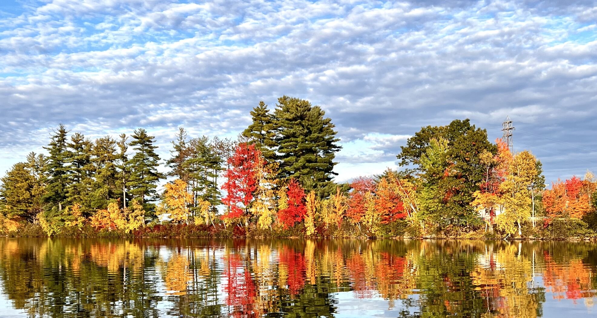 Reader Pics: Oct. 26